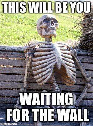 Waiting Skeleton Meme | THIS WILL BE YOU WAITING FOR THE WALL | image tagged in memes,waiting skeleton | made w/ Imgflip meme maker