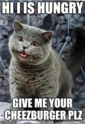 I can has cheezburger cat | HI I IS HUNGRY; GIVE ME YOUR CHEEZBURGER PLZ | image tagged in i can has cheezburger cat | made w/ Imgflip meme maker