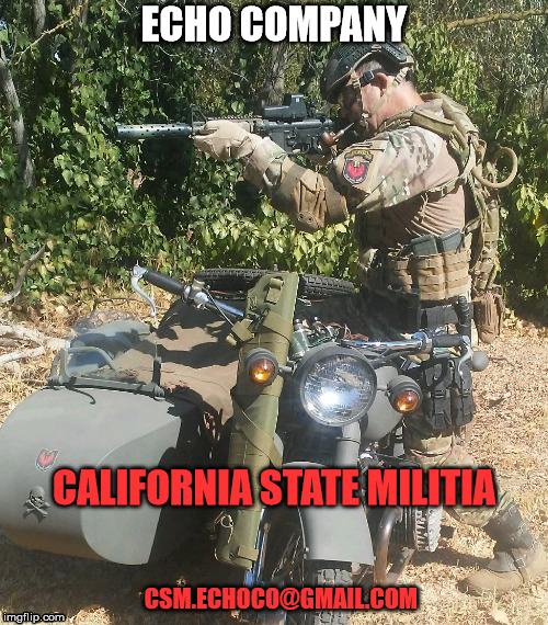 Echo Co. CSM | ECHO COMPANY; CALIFORNIA STATE MILITIA; CSM.ECHOCO@GMAIL.COM | image tagged in militia california,echo company,california state militia | made w/ Imgflip meme maker