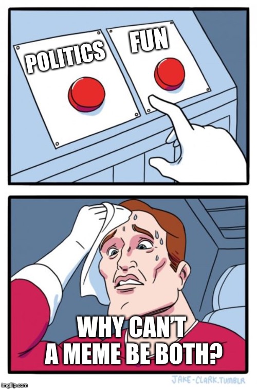 Two Buttons | FUN; POLITICS; WHY CAN’T A MEME BE BOTH? | image tagged in memes,two buttons | made w/ Imgflip meme maker