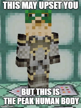 THIS MAY UPSET YOU; BUT THIS IS THE PEAK HUMAN BODY | image tagged in minecraft | made w/ Imgflip meme maker