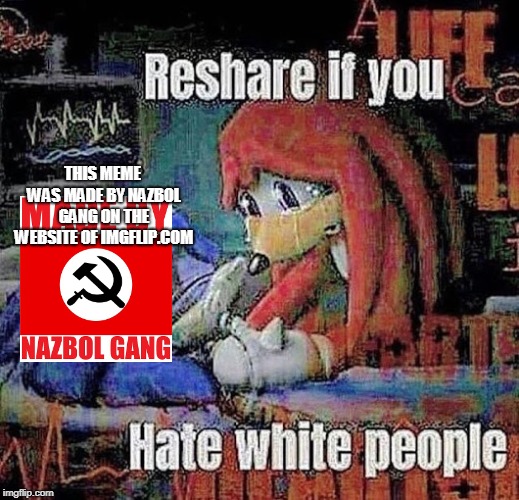 THIS MEME WAS MADE BY NAZBOL GANG ON THE WEBSITE OF IMGFLIP.COM | made w/ Imgflip meme maker
