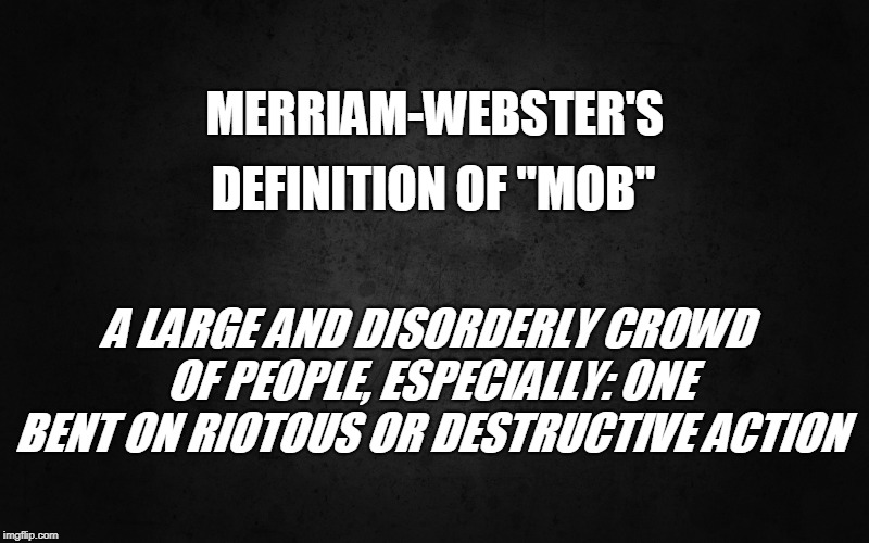 Leftists Try to Redefine "Mob" | MERRIAM-WEBSTER'S; DEFINITION OF "MOB"; A LARGE AND DISORDERLY CROWD OF PEOPLE, ESPECIALLY: ONE BENT ON RIOTOUS OR DESTRUCTIVE ACTION | image tagged in politics,democrat party | made w/ Imgflip meme maker