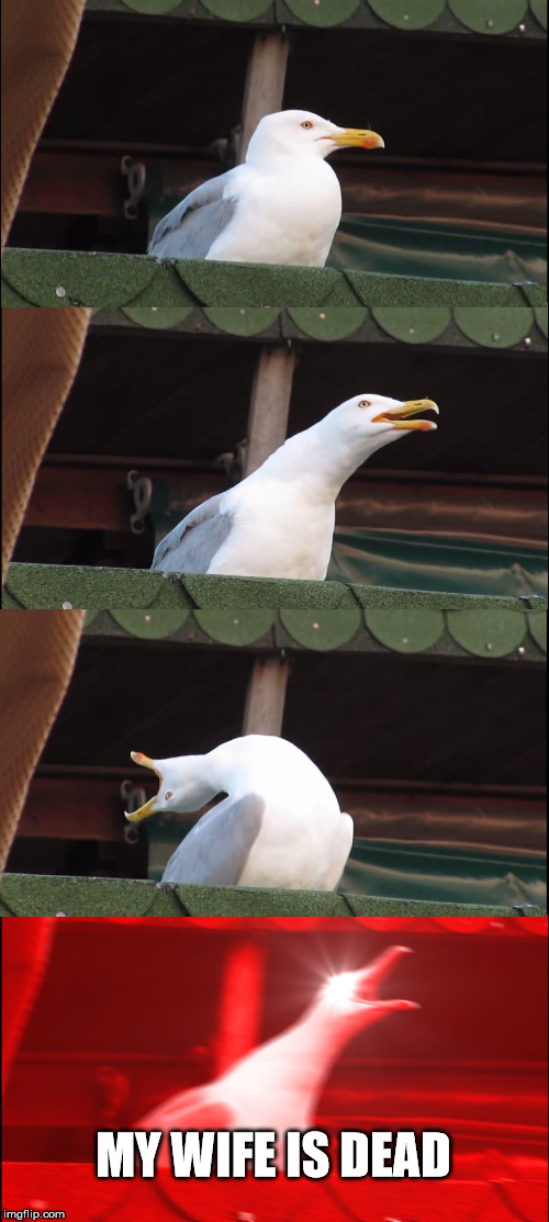 Inhaling Seagull Meme | MY WIFE IS DEAD | image tagged in memes,inhaling seagull | made w/ Imgflip meme maker
