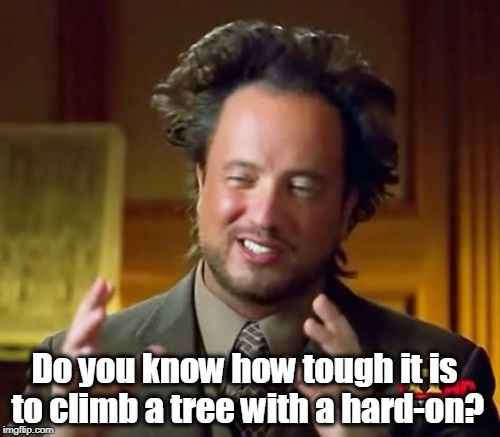 Ancient Aliens Meme | Do you know how tough it is to climb a tree with a hard-on? | image tagged in memes,ancient aliens | made w/ Imgflip meme maker