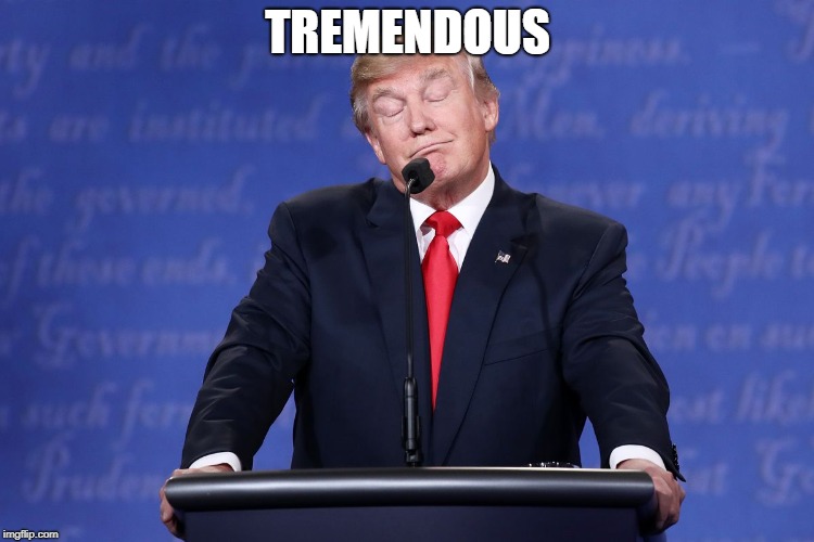 this is huge | TREMENDOUS | image tagged in trump,politics | made w/ Imgflip meme maker