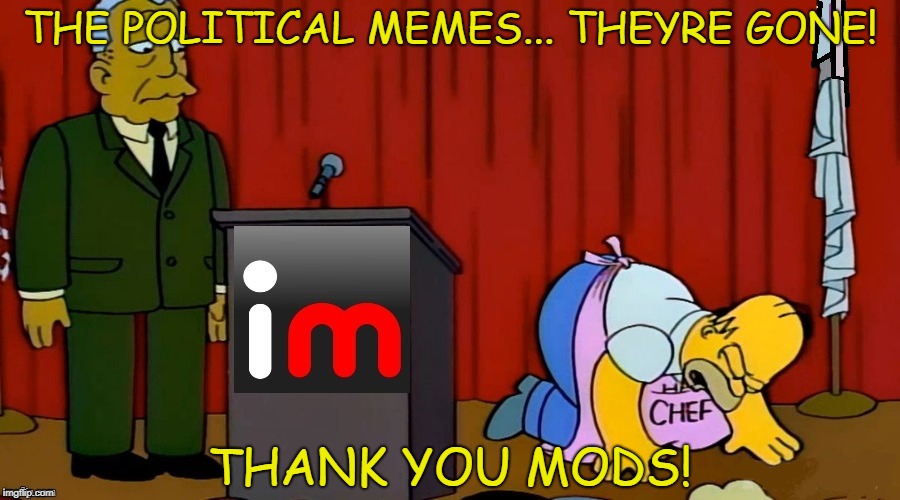 Flippin Happy Again | THE POLITICAL MEMES... THEYRE GONE! THANK YOU MODS! | image tagged in imgflip mods,political meme,happy,imgflip users | made w/ Imgflip meme maker