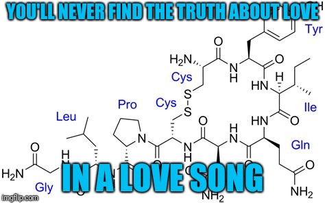 Oxytocin | YOU'LL NEVER FIND THE TRUTH ABOUT LOVE; IN A LOVE SONG | image tagged in oxytocin | made w/ Imgflip meme maker