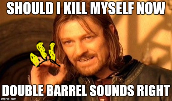 One Does Not Simply | SHOULD I KILL MYSELF NOW; DOUBLE BARREL SOUNDS RIGHT | image tagged in memes,one does not simply | made w/ Imgflip meme maker