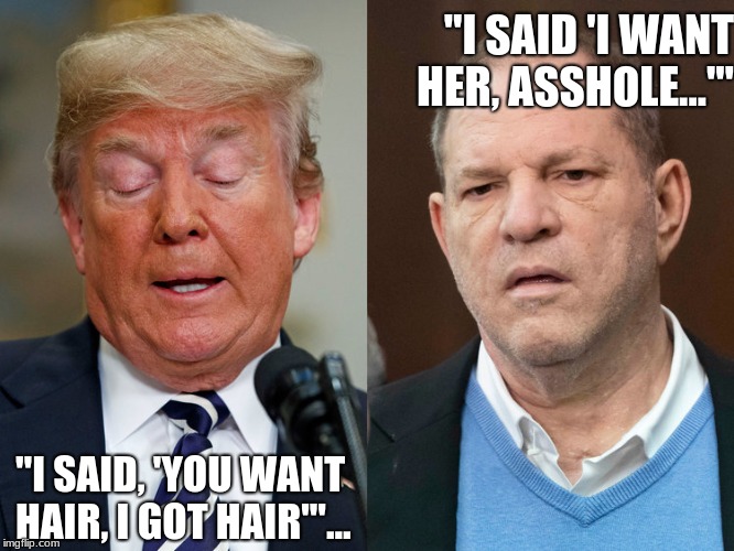 Harvey and Donald Chit-Chatting | "I SAID 'I WANT HER, ASSHOLE...'"; "I SAID, 'YOU WANT HAIR, I GOT HAIR'"... | image tagged in donald trump,harvey weinstein | made w/ Imgflip meme maker