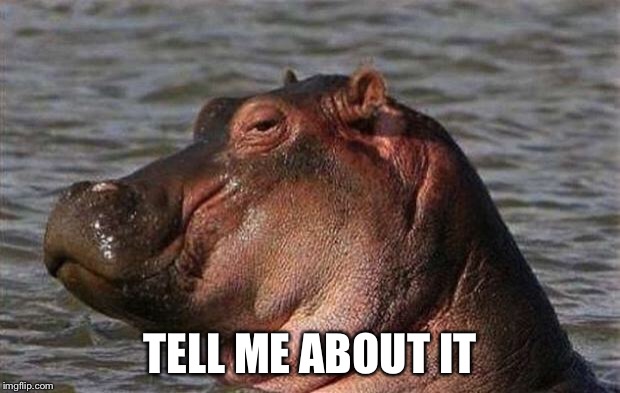 Hippo | TELL ME ABOUT IT | image tagged in hippo | made w/ Imgflip meme maker