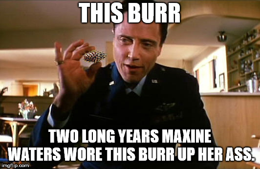 THIS BURR; TWO LONG YEARS MAXINE WATERS WORE THIS BURR UP HER ASS. | image tagged in this burr,pulp fiction,parody,maxine waters | made w/ Imgflip meme maker