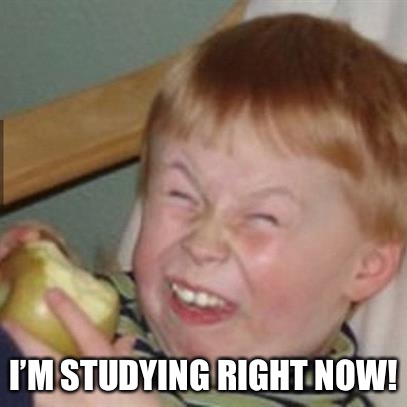 mocking laugh face | I’M STUDYING RIGHT NOW! | image tagged in mocking laugh face | made w/ Imgflip meme maker