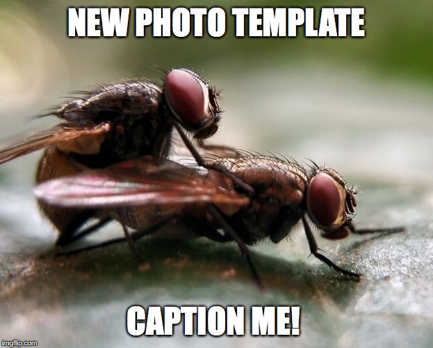 Doin it fly style | NEW PHOTO TEMPLATE; CAPTION ME! | image tagged in doin it fly style | made w/ Imgflip meme maker