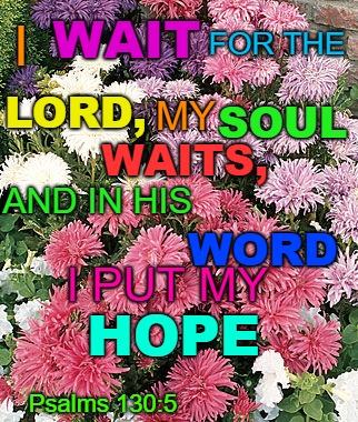 Psalms 130:5 I Wait For The Lord And In His Word I Put My Hope | WAIT; I; FOR THE; LORD, MY; SOUL; WAITS, AND IN HIS; WORD; I PUT MY; HOPE; Psalms 130:5 | image tagged in bible,holy bible,holy spirit,bible verse,verse,god | made w/ Imgflip meme maker
