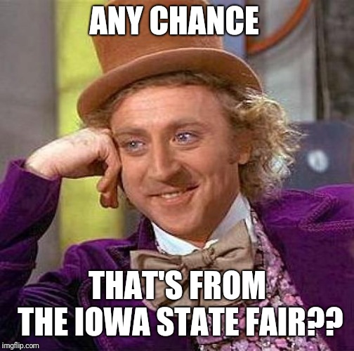 Creepy Condescending Wonka Meme | ANY CHANCE THAT'S FROM THE IOWA STATE FAIR?? | image tagged in memes,creepy condescending wonka | made w/ Imgflip meme maker