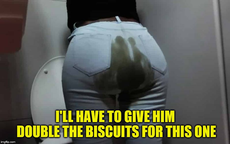 I'LL HAVE TO GIVE HIM DOUBLE THE BISCUITS FOR THIS ONE | made w/ Imgflip meme maker