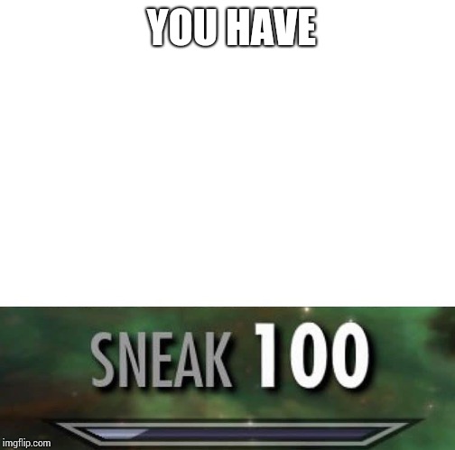 Sneak 100 | YOU HAVE | image tagged in sneak 100 | made w/ Imgflip meme maker
