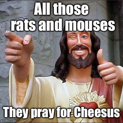 PRAYING FOR CHEESUS | All those rats and mouses; They pray for Cheesus | image tagged in memes,buddy christ,jesus,praying,mouse,funny | made w/ Imgflip meme maker