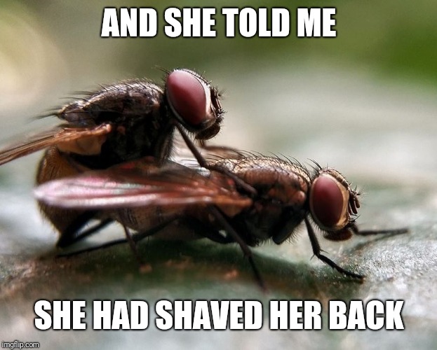 Doin it fly style | AND SHE TOLD ME SHE HAD SHAVED HER BACK | image tagged in doin it fly style | made w/ Imgflip meme maker