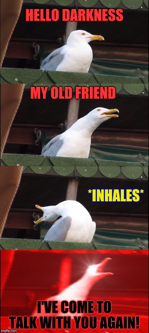 Inhaling Seagull Meme | HELLO DARKNESS MY OLD FRIEND *INHALES* I'VE COME TO TALK WITH YOU AGAIN! | image tagged in memes,inhaling seagull | made w/ Imgflip meme maker