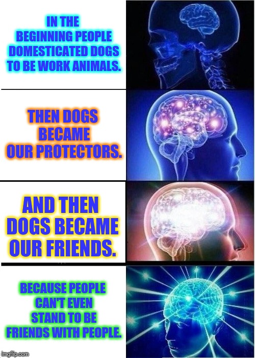 Even People Think People Suck! | IN THE BEGINNING PEOPLE DOMESTICATED DOGS TO BE WORK ANIMALS. THEN DOGS BECAME OUR PROTECTORS. AND THEN DOGS BECAME OUR FRIENDS. BECAUSE PEOPLE CAN'T EVEN STAND TO BE FRIENDS WITH PEOPLE. | image tagged in memes,expanding brain,meme,true story bro,dogs pets funny,dog memes | made w/ Imgflip meme maker