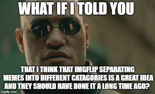 Matrix Morpheus Meme | WHAT IF I TOLD YOU THAT I THINK THAT IMGFLIP SEPARATING MEMES INTO DIFFERENT CATAGORIES IS A GREAT IDEA AND THEY SHOULD HAVE DONE IT A LONG  | image tagged in memes,matrix morpheus | made w/ Imgflip meme maker