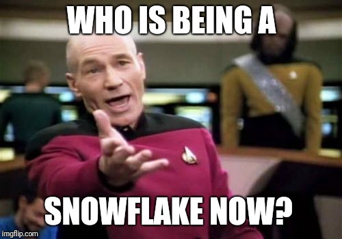 Picard Wtf Meme | WHO IS BEING A SNOWFLAKE NOW? | image tagged in memes,picard wtf | made w/ Imgflip meme maker