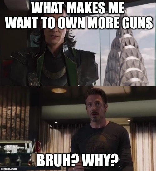 I have an army | WHAT MAKES ME WANT TO OWN MORE GUNS BRUH? WHY? | image tagged in i have an army | made w/ Imgflip meme maker