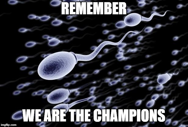 sperm swimming | REMEMBER; WE ARE THE CHAMPIONS | image tagged in sperm swimming | made w/ Imgflip meme maker