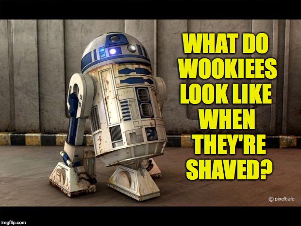 <beep!> Philosodroid <whistle> | WHAT DO WOOKIEES LOOK LIKE; WHEN THEY'RE SHAVED? | image tagged in memes,wookiees,philosodroid,r2d2 | made w/ Imgflip meme maker