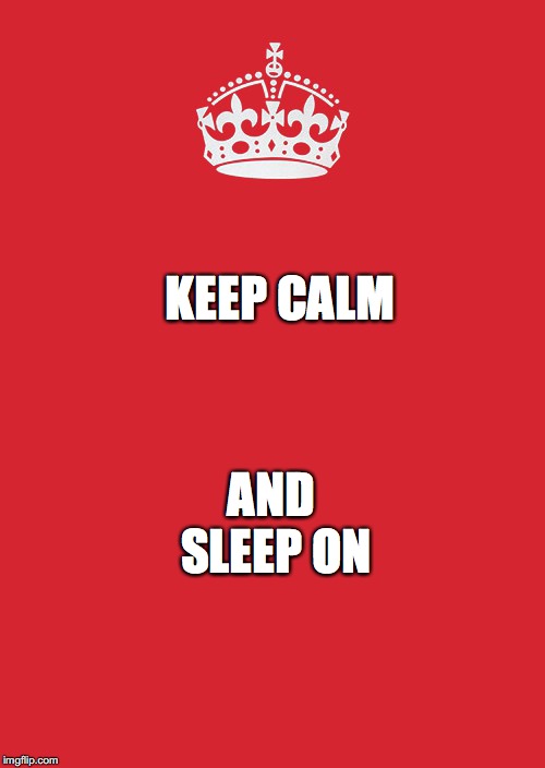 Keep Calm And Carry On Red | KEEP CALM; AND SLEEP ON | image tagged in memes,keep calm and carry on red | made w/ Imgflip meme maker