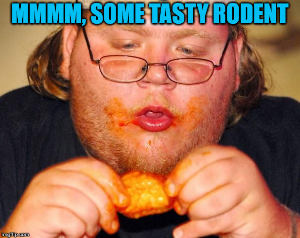 fat guy eating wings | MMMM, SOME TASTY RODENT | image tagged in fat guy eating wings | made w/ Imgflip meme maker