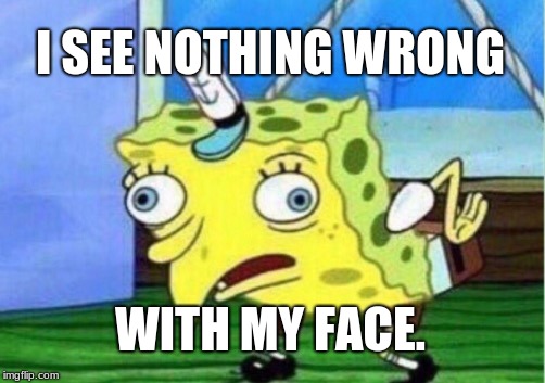 Mocking Spongebob Meme | I SEE NOTHING WRONG WITH MY FACE. | image tagged in memes,mocking spongebob | made w/ Imgflip meme maker
