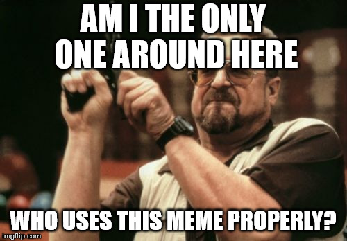 Am I The Only One Around Here | AM I THE ONLY ONE AROUND HERE; WHO USES THIS MEME PROPERLY? | image tagged in memes,am i the only one around here | made w/ Imgflip meme maker