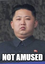 Kim Jong Un | NOT AMUSED | image tagged in kim jong un | made w/ Imgflip meme maker