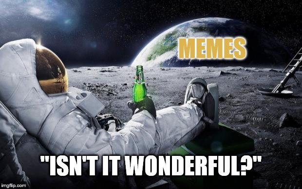 "Isn't it wonderful?" | MEMES; "ISN'T IT WONDERFUL?" | image tagged in time to leave the earth,memes,space,earth,moon,suit | made w/ Imgflip meme maker