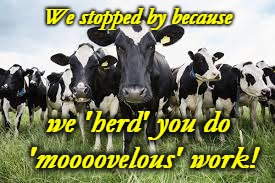 Cows for sale | We stopped by because; we 'herd' you do 'moooovelous' work! | image tagged in cows for sale | made w/ Imgflip meme maker