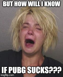 CryingWoman | BUT HOW WILL I KNOW IF PUBG SUCKS??? | image tagged in cryingwoman | made w/ Imgflip meme maker