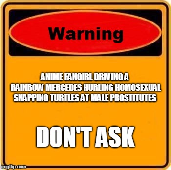 Warning Sign Meme | ANIME FANGIRL DRIVING A RAINBOW MERCEDES HURLING HOMOSEXUAL SNAPPING TURTLES AT MALE PROSTITUTES; DON'T ASK | image tagged in memes,warning sign | made w/ Imgflip meme maker