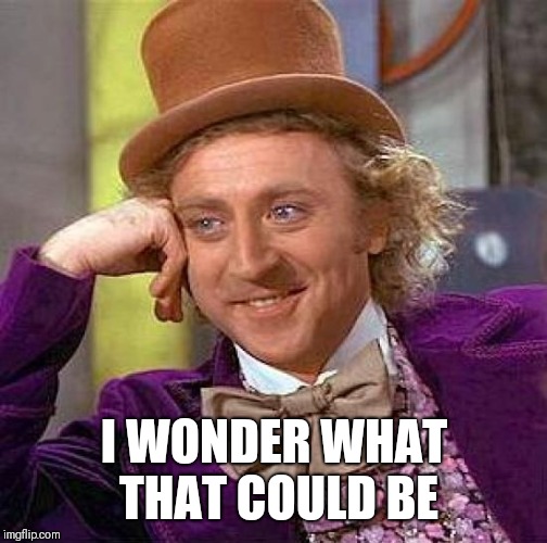 Creepy Condescending Wonka Meme | I WONDER WHAT THAT COULD BE | image tagged in memes,creepy condescending wonka | made w/ Imgflip meme maker