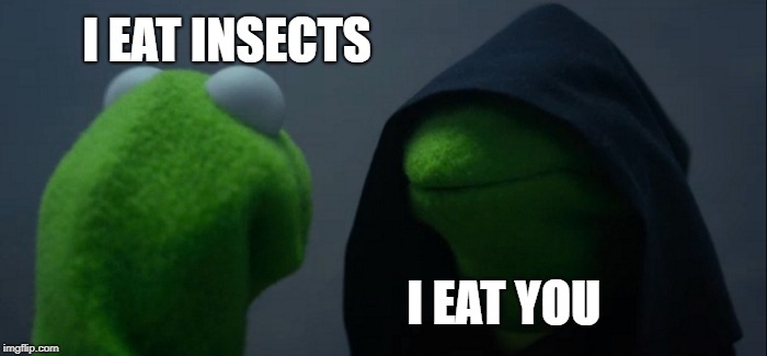 Evil Kermit | I EAT INSECTS; I EAT YOU | image tagged in memes,evil kermit | made w/ Imgflip meme maker