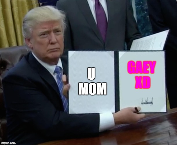 Trump Bill Signing Meme | U MOM; GAEY XD | image tagged in memes,trump bill signing | made w/ Imgflip meme maker