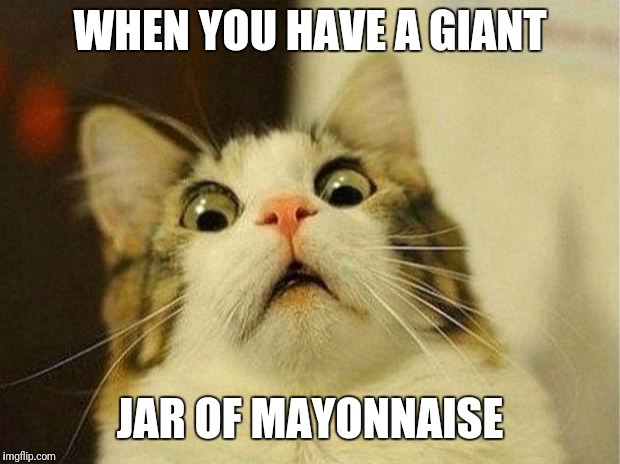 Scared Cat Meme | WHEN YOU HAVE A GIANT; JAR OF MAYONNAISE | image tagged in memes,scared cat | made w/ Imgflip meme maker