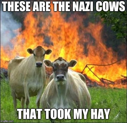 Evil Cows Meme | THESE ARE THE NAZI COWS; THAT TOOK MY HAY | image tagged in memes,evil cows | made w/ Imgflip meme maker