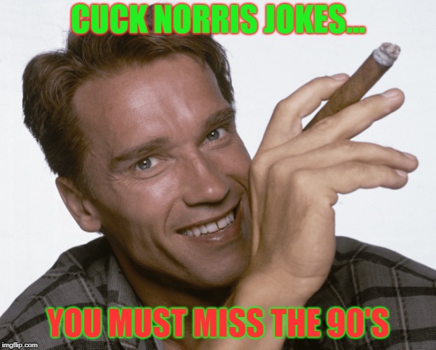 Cuck Norris Jokes | CUCK NORRIS JOKES... YOU MUST MISS THE 90'S | image tagged in chuck norris | made w/ Imgflip meme maker