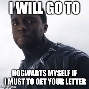 I WILL GO TO HOGWARTS MYSELF IF I MUST TO GET YOUR LETTER | made w/ Imgflip meme maker