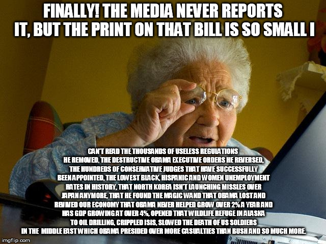 Grandma Finds The Internet Meme | FINALLY! THE MEDIA NEVER REPORTS IT, BUT THE PRINT ON THAT BILL IS SO SMALL I CAN'T READ THE THOUSANDS OF USELESS REGULATIONS HE REMOVED, TH | image tagged in memes,grandma finds the internet | made w/ Imgflip meme maker