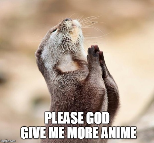 animal praying | PLEASE GOD GIVE ME MORE ANIME | image tagged in animal praying | made w/ Imgflip meme maker
