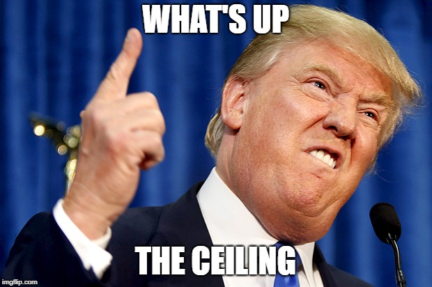 Donald Trump | WHAT'S UP; THE CEILING | image tagged in donald trump | made w/ Imgflip meme maker